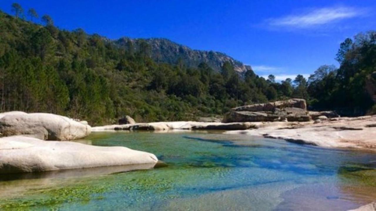 Camping L'Oso Porto-Vecchio  Ngoại thất bức ảnh